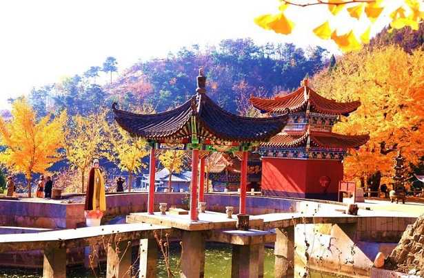 禅林——初指僧人的陵地，后借指寺院
