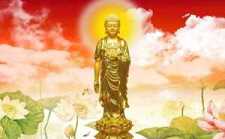 阿弥陀佛成佛之前是如何修行的？
